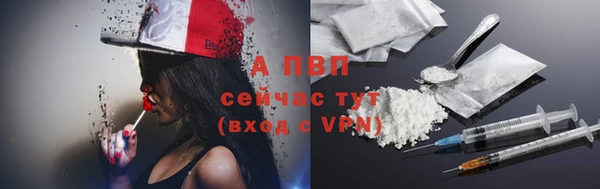 ешки Лабытнанги