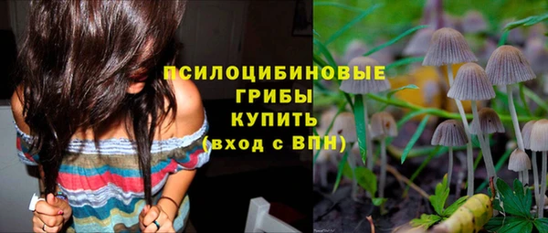 гашишное масло Краснослободск